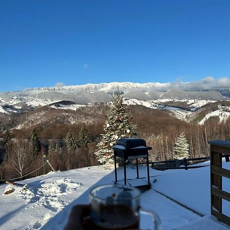 Cabanuta Din Munti Hotel Moieciu de Jos Buitenkant foto