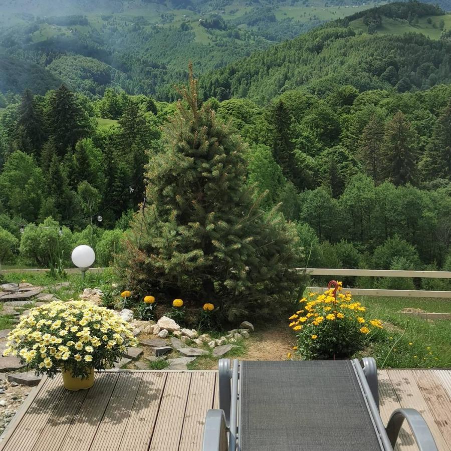 Cabanuta Din Munti Hotel Moieciu de Jos Buitenkant foto