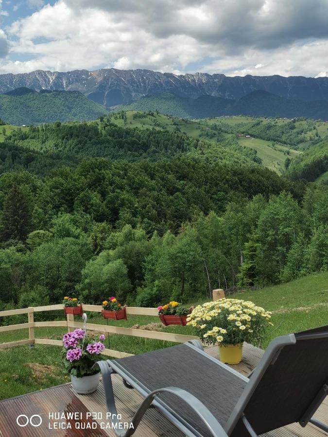 Cabanuta Din Munti Hotel Moieciu de Jos Buitenkant foto