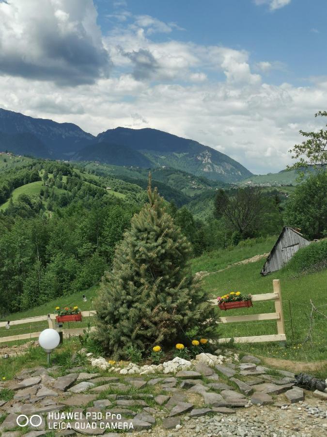 Cabanuta Din Munti Hotel Moieciu de Jos Buitenkant foto