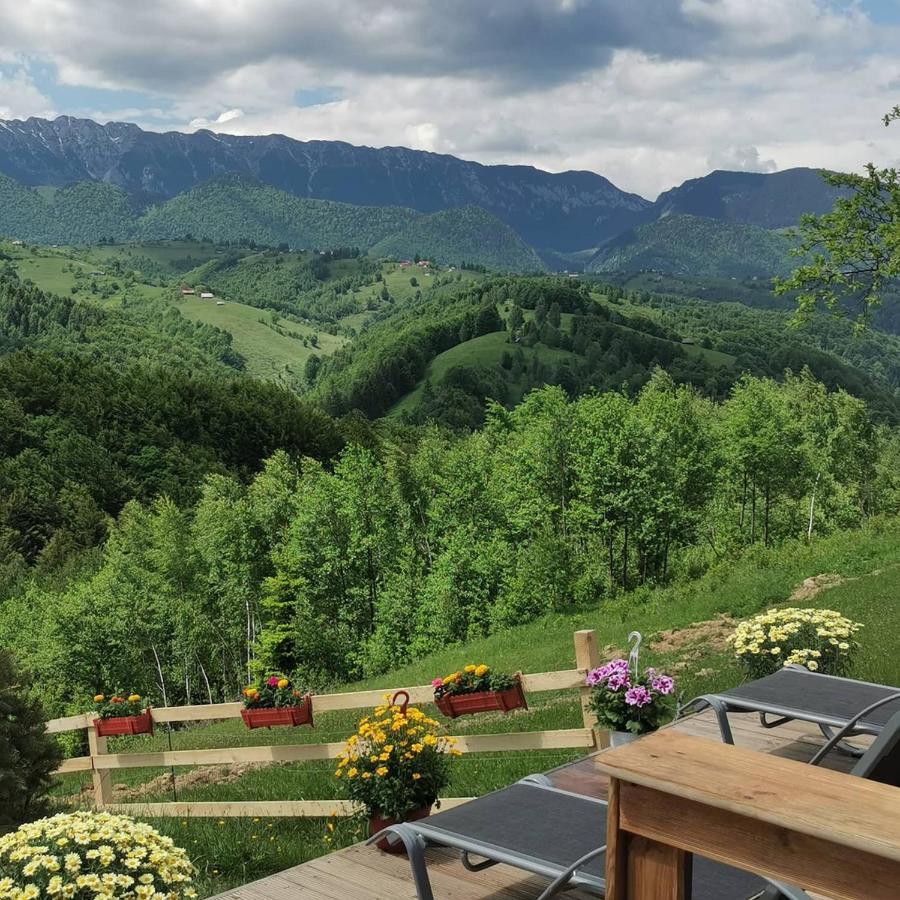 Cabanuta Din Munti Hotel Moieciu de Jos Buitenkant foto