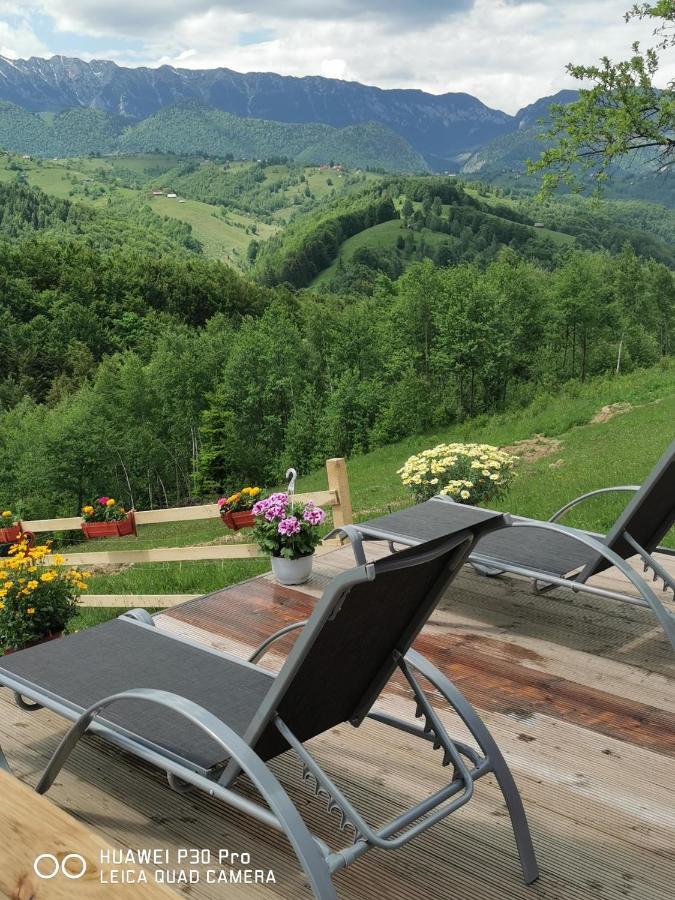 Cabanuta Din Munti Hotel Moieciu de Jos Buitenkant foto