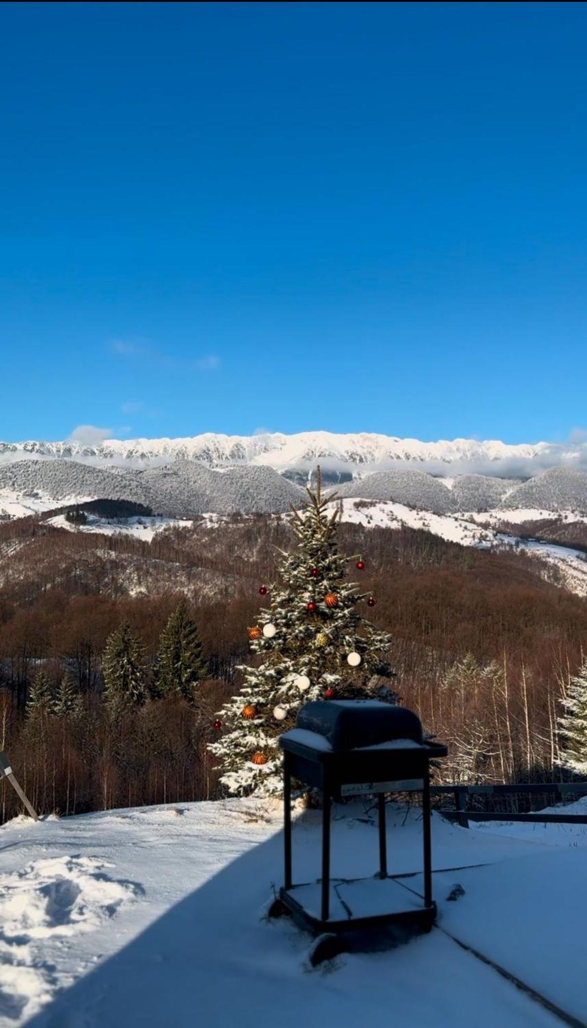 Cabanuta Din Munti Hotel Moieciu de Jos Buitenkant foto
