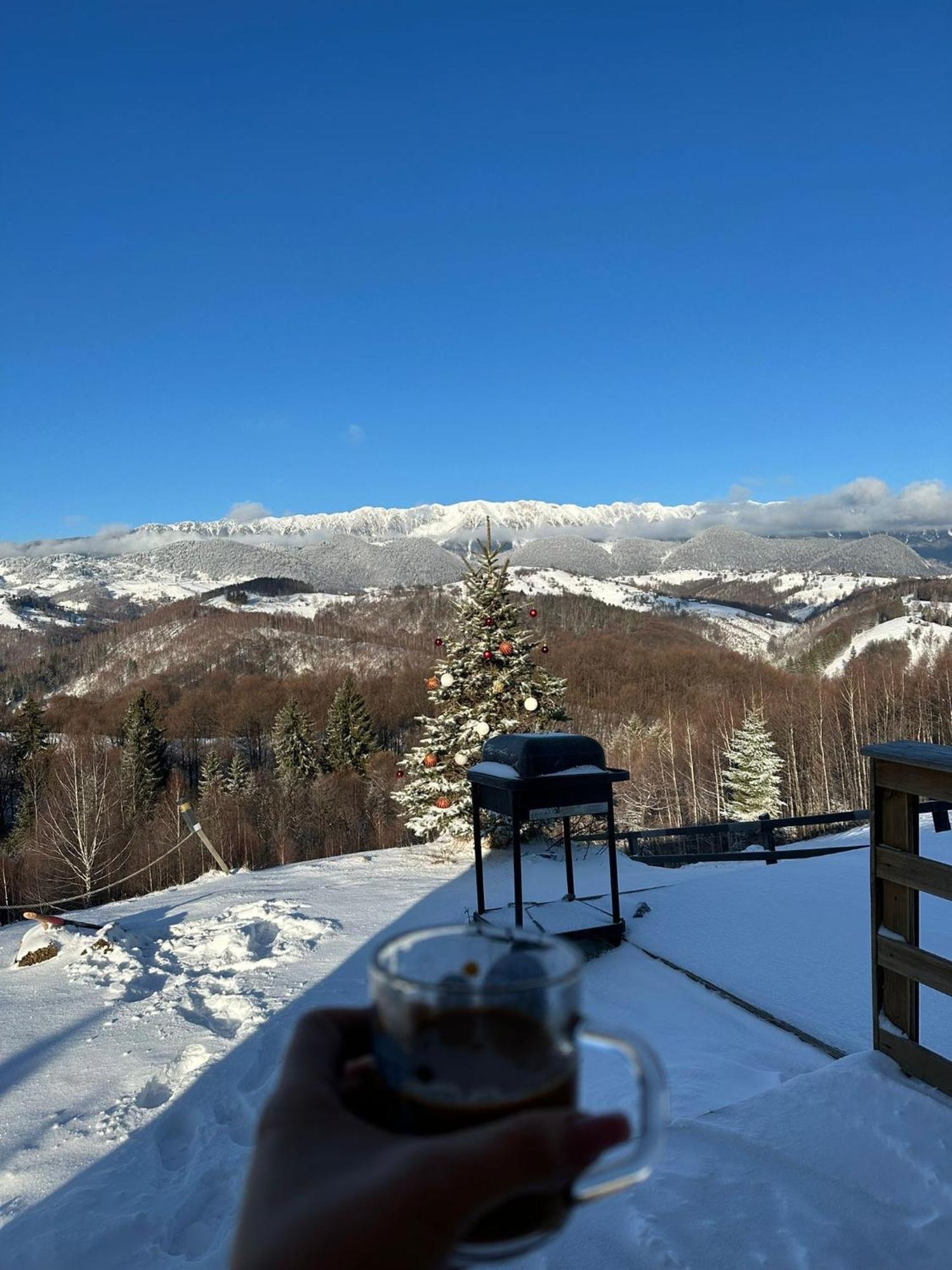 Cabanuta Din Munti Hotel Moieciu de Jos Buitenkant foto