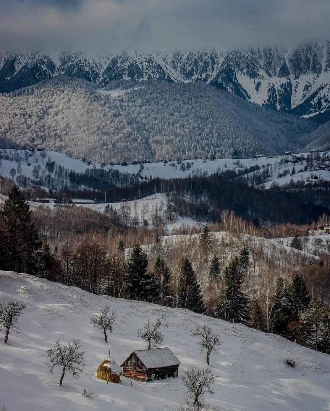 Cabanuta Din Munti Hotel Moieciu de Jos Buitenkant foto